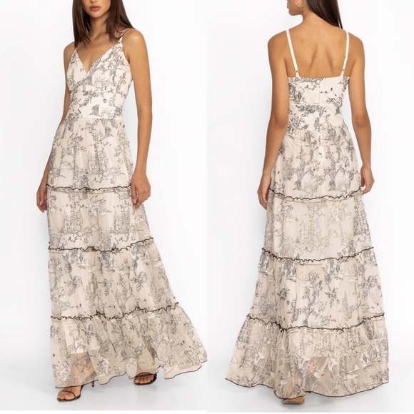 Johnny Was Dresses & Skirts - JOHNNY WAS House On The Hill Tiered Maxi Dress